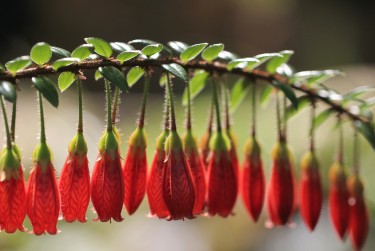 深圳盐田区1私人快速借钱网，轻松解决资金难题
