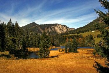 深圳盐田区1民间私贷攻略：揭秘低成本借贷的秘密